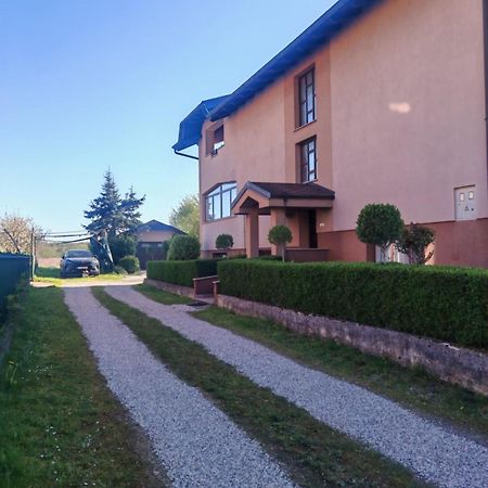 Apartman Kristian Zagreb Airport 大戈里察 外观 照片