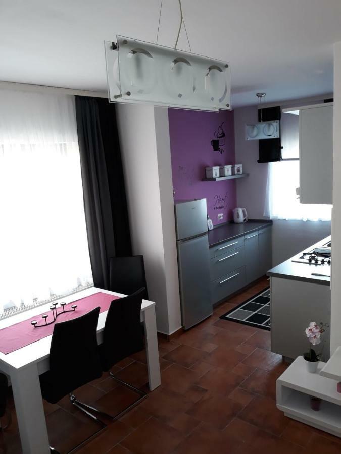 Apartman Kristian Zagreb Airport 大戈里察 外观 照片