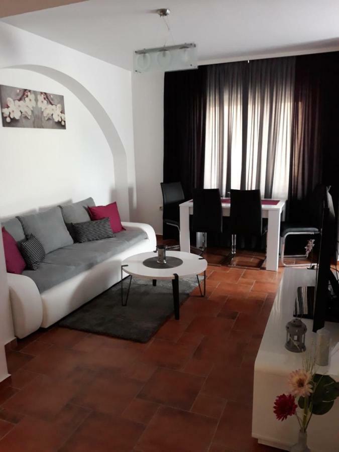 Apartman Kristian Zagreb Airport 大戈里察 外观 照片