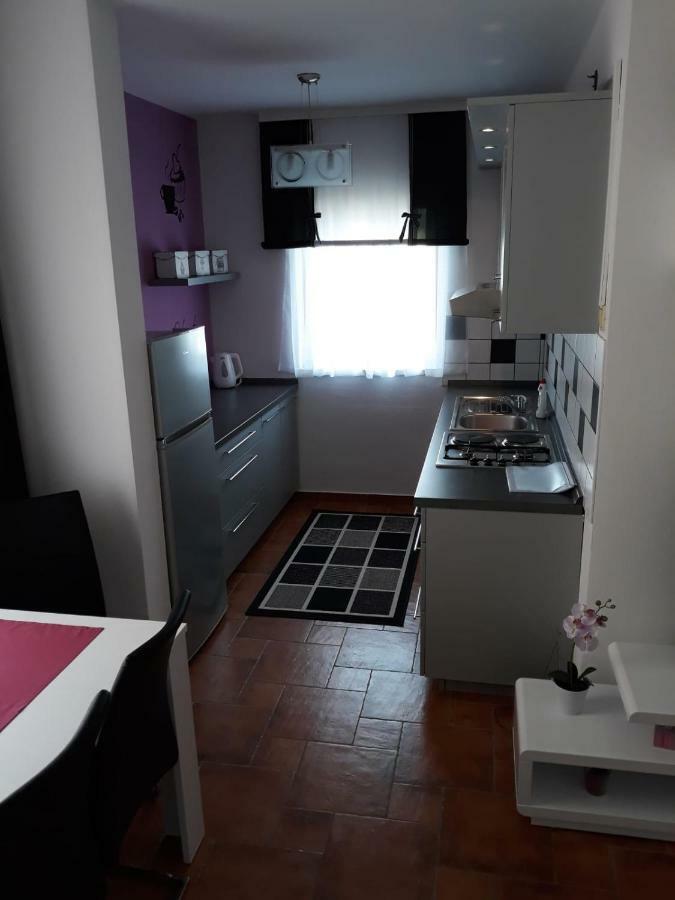 Apartman Kristian Zagreb Airport 大戈里察 外观 照片