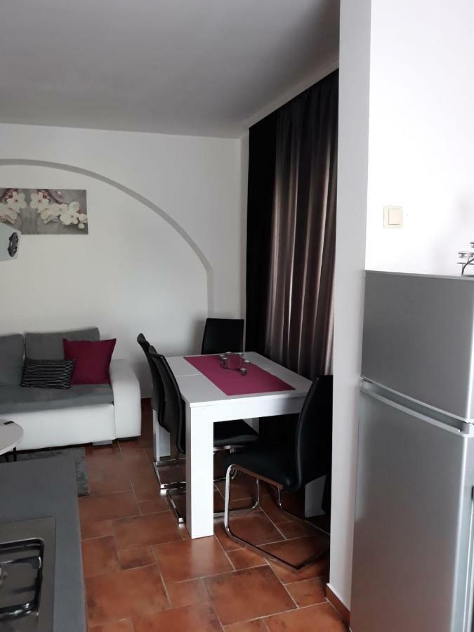 Apartman Kristian Zagreb Airport 大戈里察 外观 照片